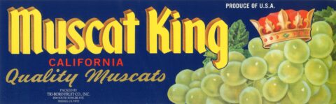 Muscat King